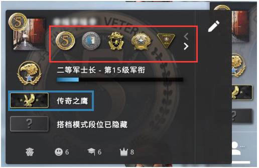 csgo胸章佩戴效果解析