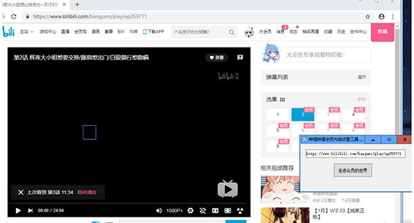 哔哩哔哩会员番剧解锁工具