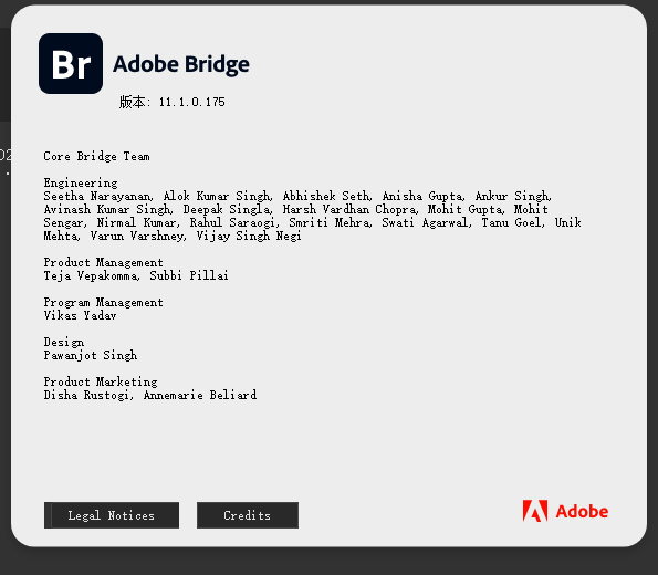 Adobe Bridge 2021