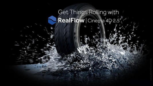 Realflow For Win