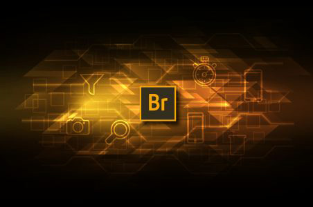 Adobe Bridge