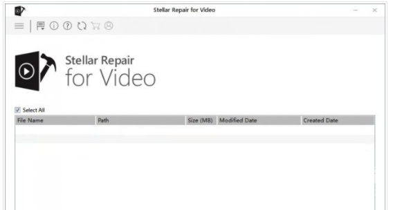 Stellar Repair for Video