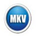 闪电MKV AVI转换器 V14.7.0 官方版