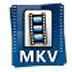 艾奇MKV视频格式转换器 V3.80.506 官方安装版