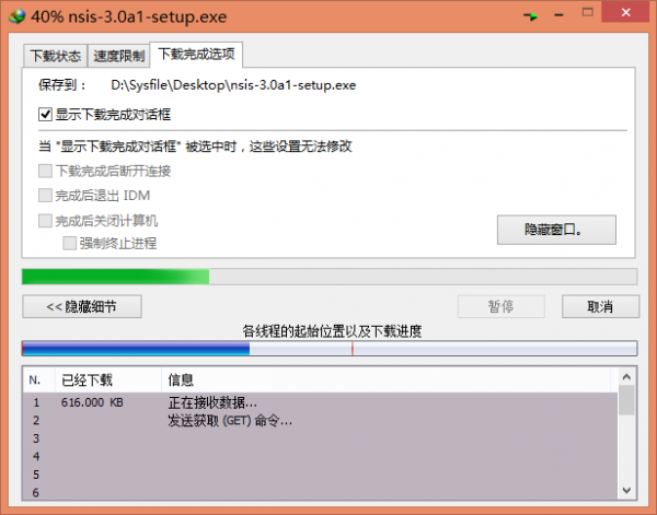 Internet Download Manager