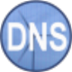 Simple DNS Plus(DNS服务器软件) V9.1 Build 108 免费版