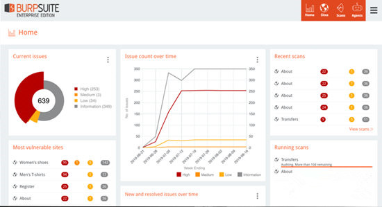 Burpsuite Pro