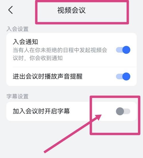 飞书怎么开启视频会议字幕？飞书开启视频会议字幕教程图片3