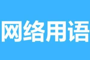 仌是什么意思指南