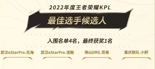 王者荣耀2022KPL年度最佳选手候选人名单介绍