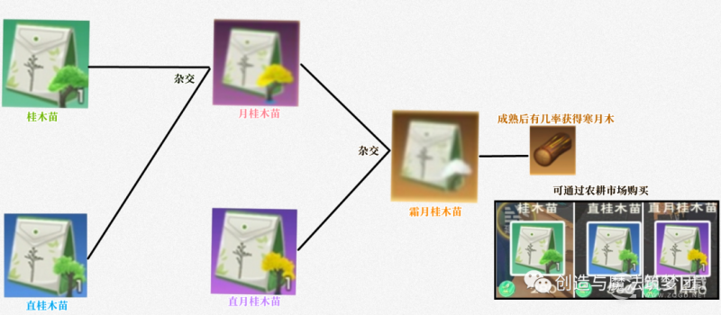 创造与魔法星神&阿斯特奥斯技能强度