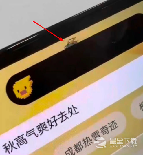 iPhone14灵动岛宠物设置方法