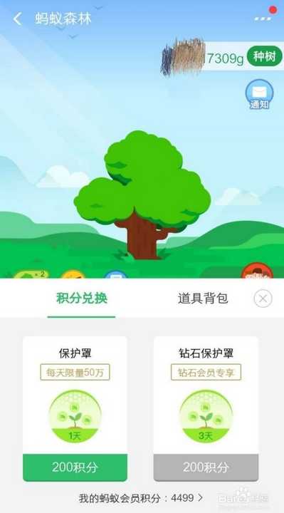 蚂蚁森林用什么用