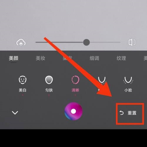一甜相机怎么重置参数？一甜相机重置参数教程图片3