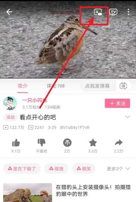 哔哩哔哩窗口模式怎么开