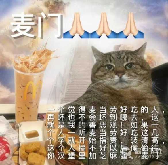 麦门是什么梗