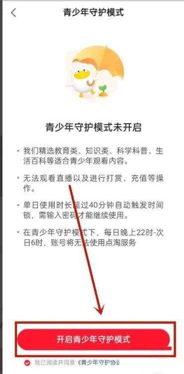 点淘怎么设置未成年模式?点淘设置未成年模式教程图片5