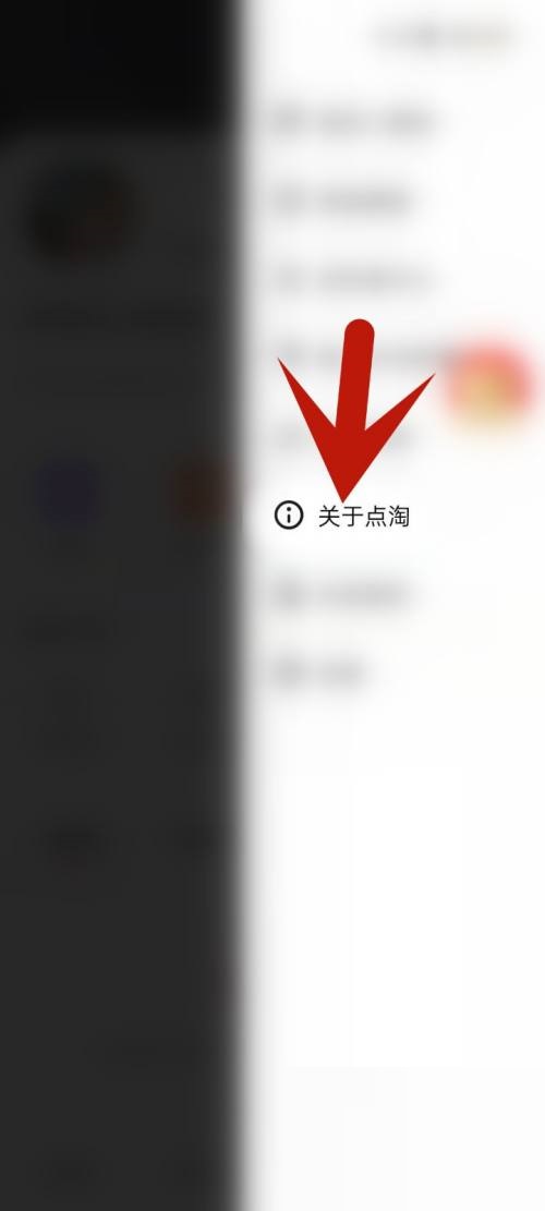 点淘怎么更新版本?点淘更新版本教程图片4