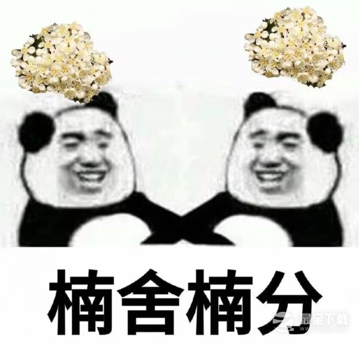 石楠花恶搞表情包图片详情