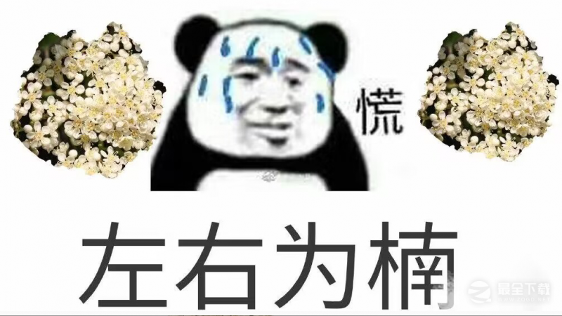 石楠花恶搞表情包图片详情