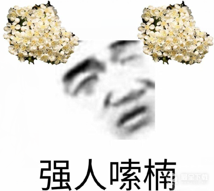 石楠花恶搞表情包图片详情