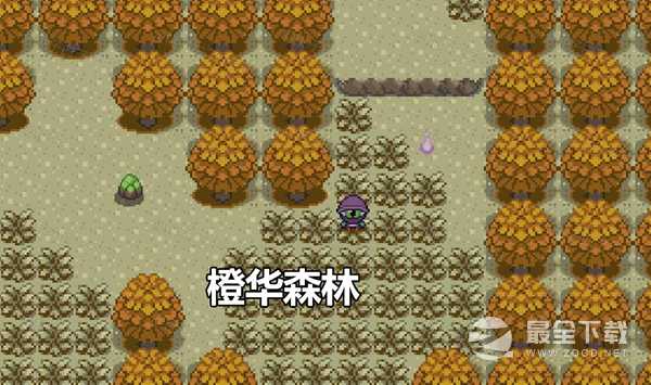 Pokemmo2023万圣节丰源区域全鬼火分布大全