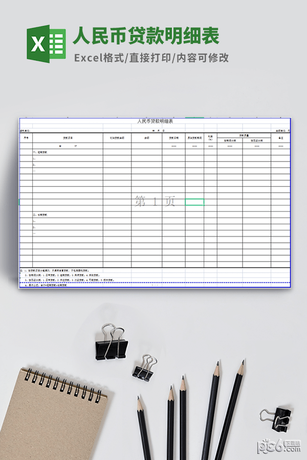 人民币贷款明细表模板