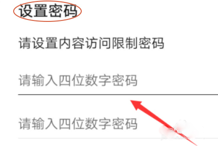 怎么设置访问密码4