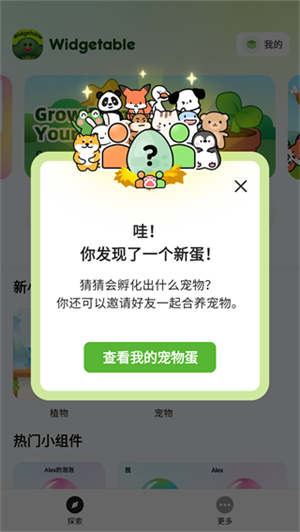 widgetable怎么设置中文截图1