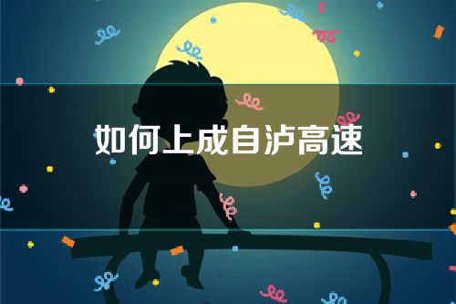 如何上成自泸高速