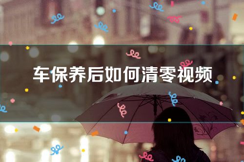 车保养后如何清零视频