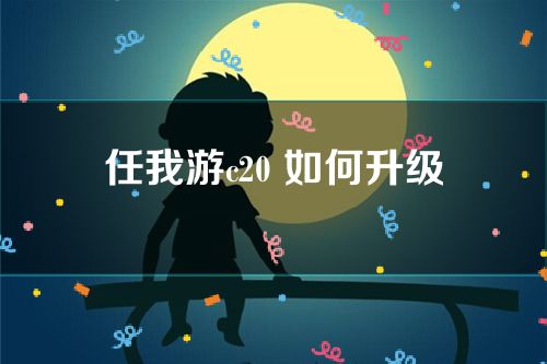 任我游c20 如何升级