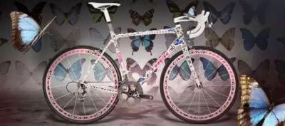 蝴蝶崔克自行车 全球最贵自行车（蝴蝶崔克自行车为什么这么贵）