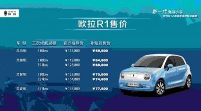 欧拉r1电动汽车价格及图片（欧拉r1正式上市售价11.48万起）