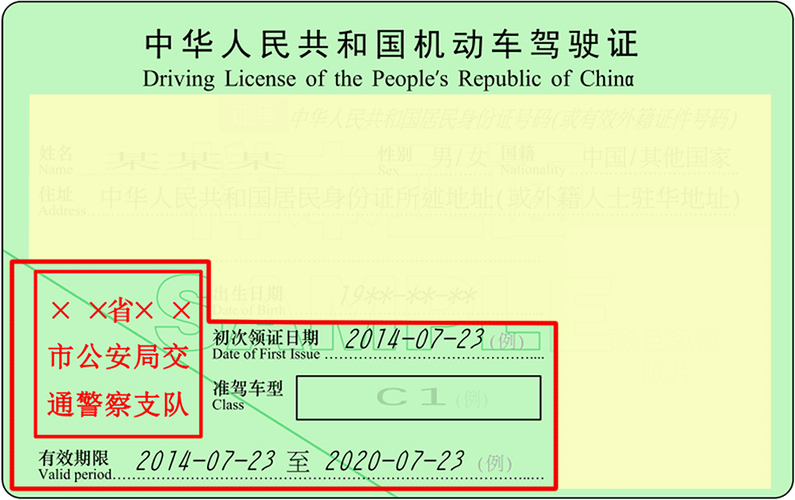驾驶证换证后多久更新信息(驾驶证换证后多少天能查到新信息)