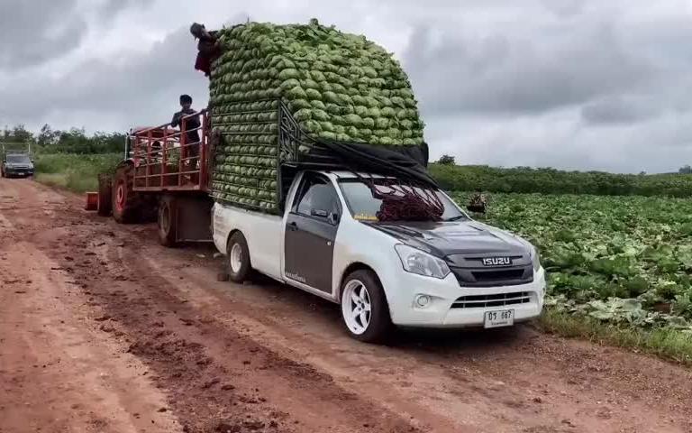 泰国人为什么都开皮卡 泰国的皮卡是什么意思