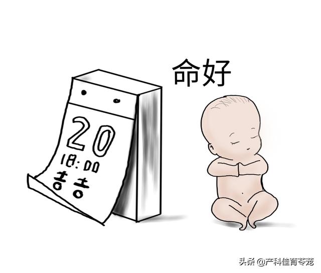 出生时辰决定一生命运，学霸出生的时辰