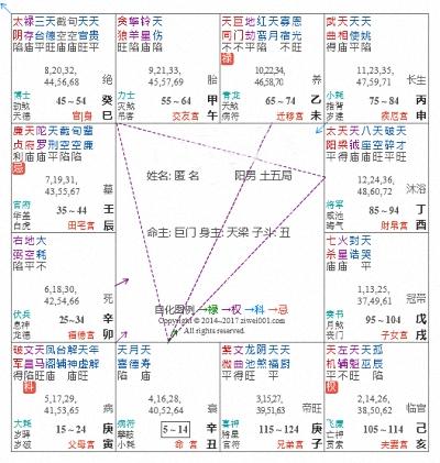 紫微斗数排盘解析，紫微斗数在线排盘解释