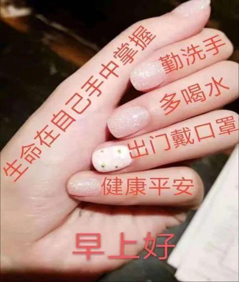 易奇八字财富船婚姻树运程车，婚姻树易奇八字财富船新浪