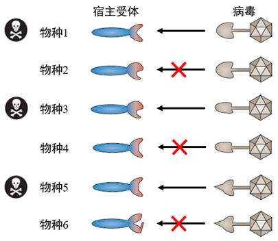 为什么相克的人会相爱，相克的人在一起会生病