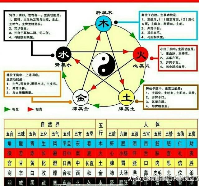 998年五行属性，水命最忌做什么行业"