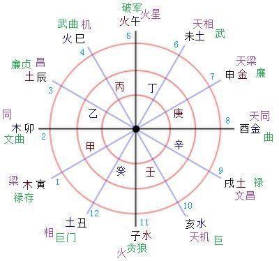 紫微斗数怎么看是否长寿，紫微斗数看自己长相