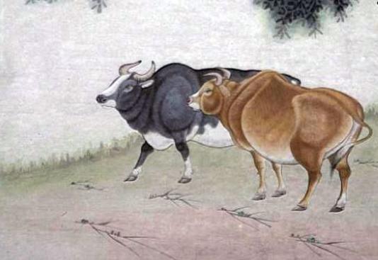 丁丑年属牛是哪一年，丁丑月的命理特征
