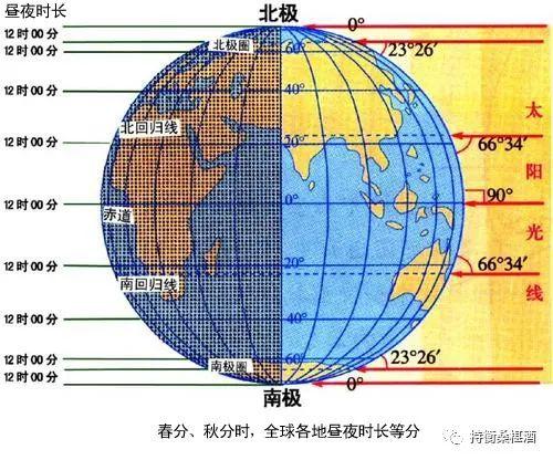 黄历十二生肖日历表，2022 年日历带生肖