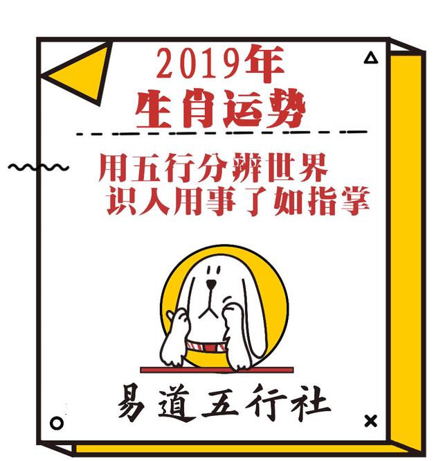 属龙的今年财运好不好，属龙今年财运