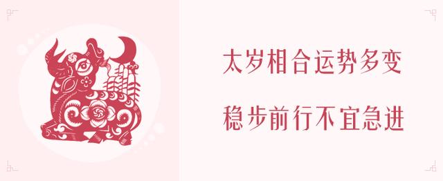 属鼠的今年的运气，属鼠今年运势与财运