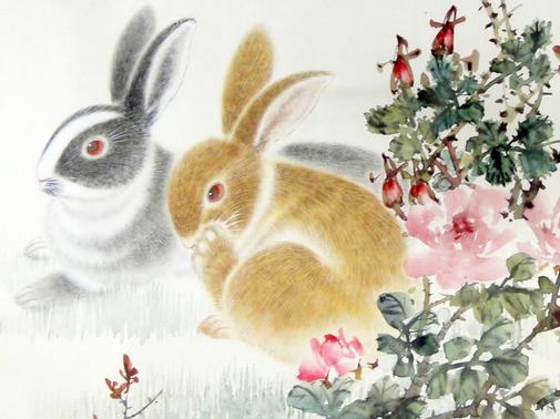 属兔是哪年出生的，属兔人要珍惜的2个人