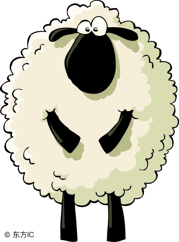 9年属羊人今日财运如何，79年属羊42岁有个劫"