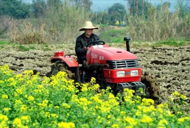 老鼠年是那几年今年多大，鼠年今年多大2022