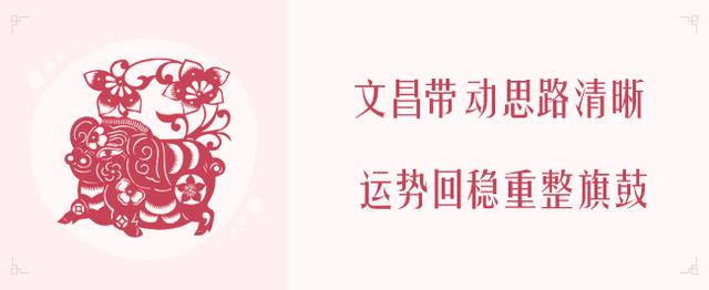 属鼠的今年的运气，属鼠今年运势与财运